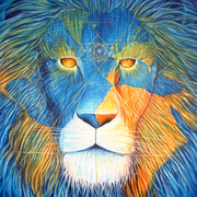 Thiago Petrone's avatar