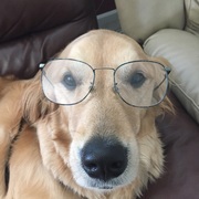 Pappu Pager's avatar