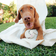 Fernando Martínez's avatar