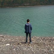 Vaso Nersezashvili's avatar