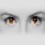 Veronica Sun's avatar