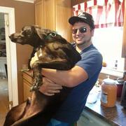 andrew poulin's avatar