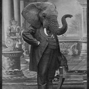 Sander Paulus's avatar