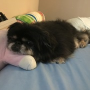 Chaeyoung "Chase" Seo's avatar