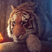 Thawsif Mursalin's avatar