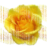 Joseph Faraci's avatar