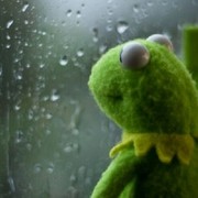 Nicholas Luong's avatar