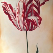 Gerard Bernal's avatar