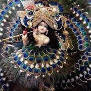 Komal Jaydip's avatar