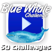 blue whale APK's avatar