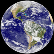 Alicia Sidik's avatar