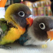 Jason Gruenhagen's avatar