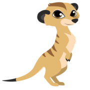 CAROL HAFER's avatar