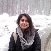 farnaz tehranchi's avatar