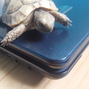 Achraf Karrouche's avatar