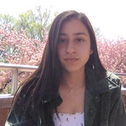 Divya Parikh's avatar