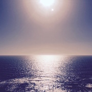 Erica Andrews's avatar