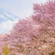 Jemiah Clyburn's avatar