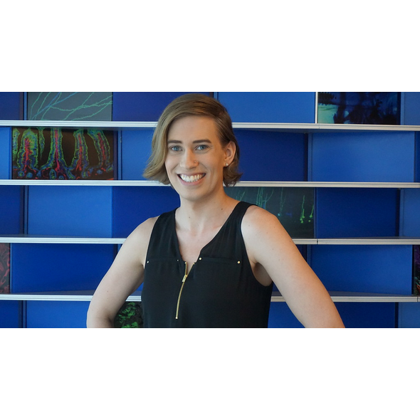 Clair Kronk's (superraptor) software portfolio | Devpost