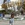 Mounica M
