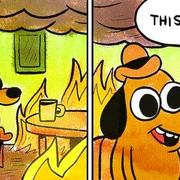 Łukasz Szcześniak's avatar