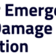 Queens 24 hour Water  Damage Restoration's avatar