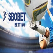 judi bolaa's avatar