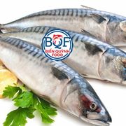 bienquynh food's avatar