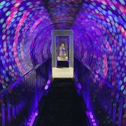 Peter Mitchell's avatar