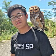 Davis  Zheng