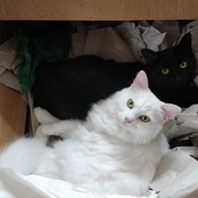 Martyn Lesbirel's avatar