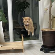 Katelyn-Dragon Daniels