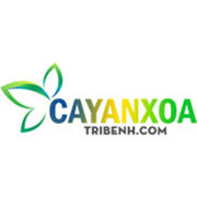 Cây An Xoa Trị Bệnh's avatar