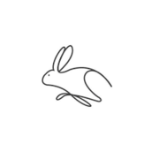 shrimei chock's avatar