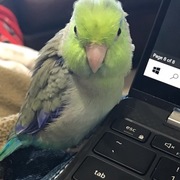 Madison Rutherford's avatar