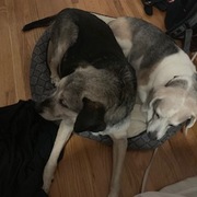 Shannon Putman's avatar