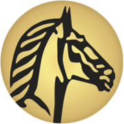 SUISSE HOLDING's avatar