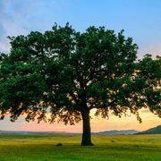 Jonathan Gyu's avatar