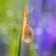 Haixiang Zhu's avatar