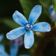 Christian Aretz's avatar