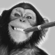 Christian Geisler's avatar