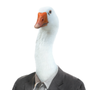 Lalanda Hruschka's avatar