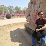 Mohammed Alloaa