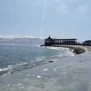 Peter Cáceres's avatar