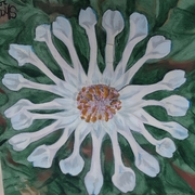 Sharon Blackwell's avatar