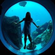 Andira Putri's avatar