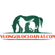 vuongquoc loaivat's avatar