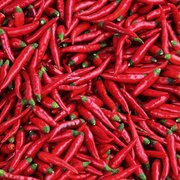 Oliver Brown's avatar