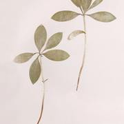 Nikita Bhaneja's avatar