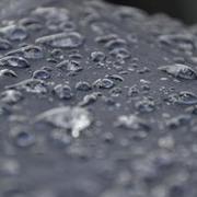 Senaya Amauria's avatar